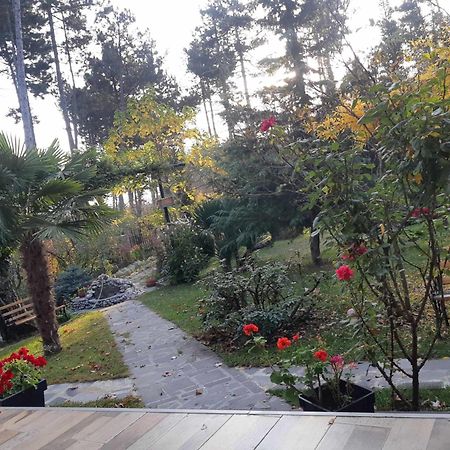 Neli & Zaal Guest House Телаві Екстер'єр фото